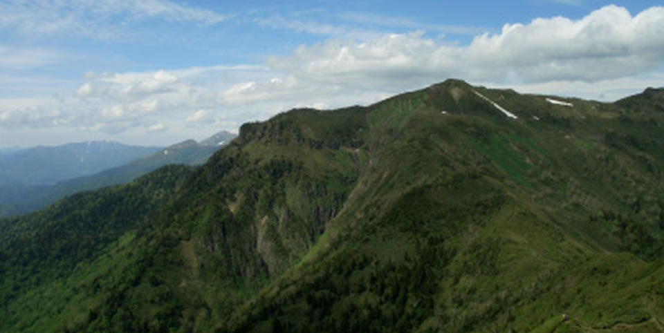 充実のアクティビティ